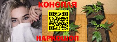тгк Пенза