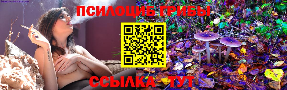 где купить наркоту  Вход с VPN  Псков  Псилоцибиновые грибы мицелий 