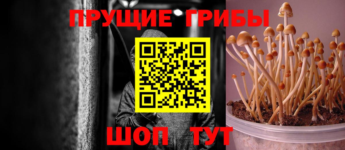 Псилоцибиновые грибы Magic Shrooms Псков